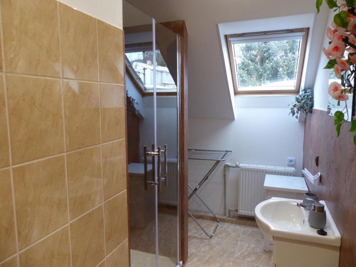 Apartmany Plischke Lipova Lazne Εξωτερικό φωτογραφία